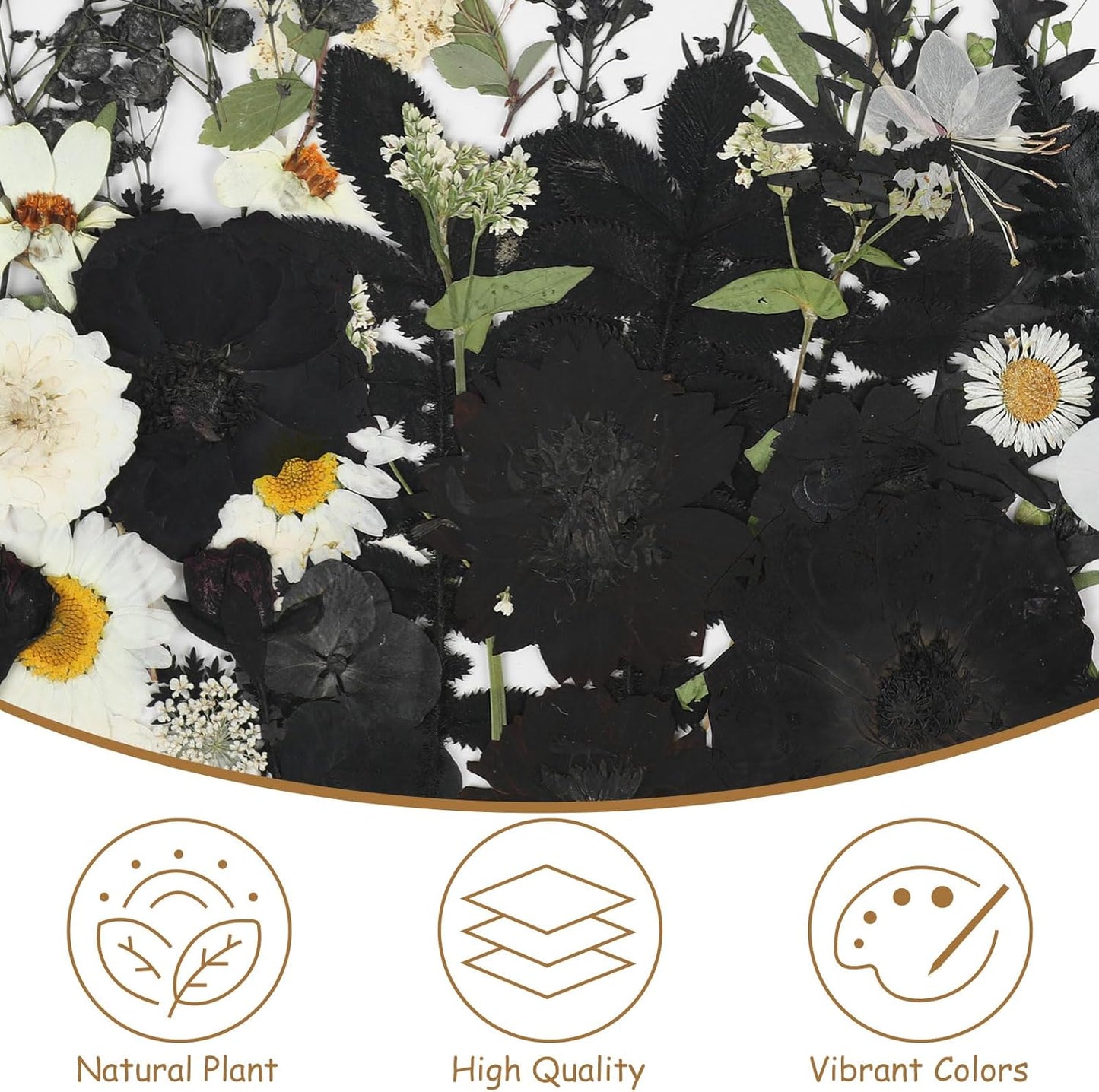 69Pcs Halloween Dried Pressed Flowers for Resin Molds, Bulk Real Natural Dry Floral for DIY Art Crafts, Candle, Soap Making, Phone Case，Nails Decor （Black&White）