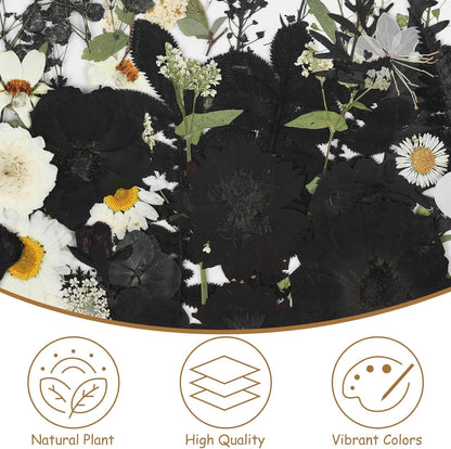 69Pcs Halloween Dried Pressed Flowers for Resin Molds, Bulk Real Natural Dry Floral for DIY Art Crafts, Candle, Soap Making, Phone Case，Nails Decor （Black&White）