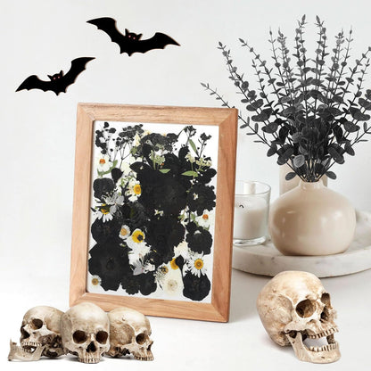 69Pcs Halloween Dried Pressed Flowers for Resin Molds, Bulk Real Natural Dry Floral for DIY Art Crafts, Candle, Soap Making, Phone Case，Nails Decor （Black&White）