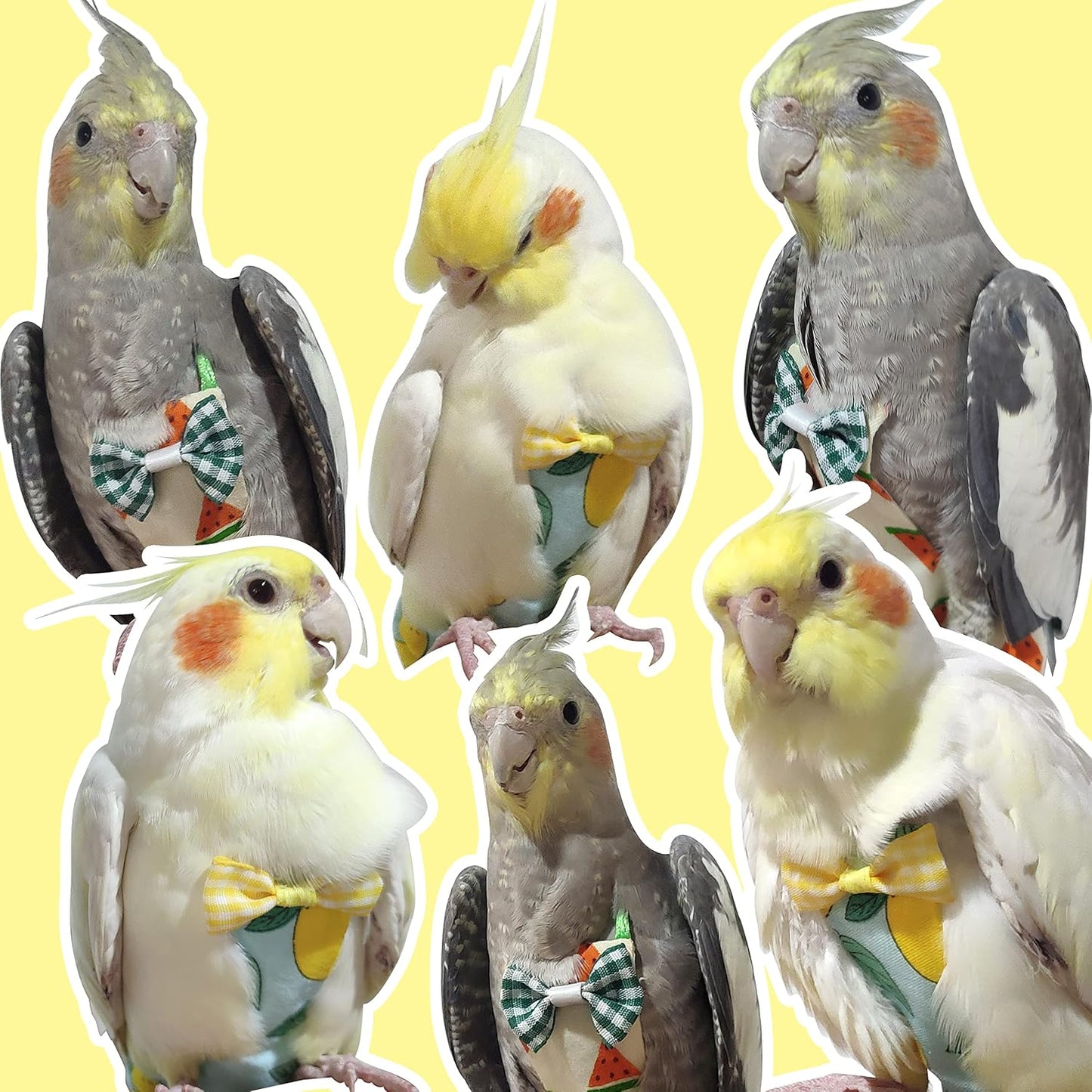 Bird Diaper Flight Suit with 80-inch Leash Rope, M Size, Yellow | Includes Flight Suit, 80-inch Elastic Leash and 1 Cotton Pad. For Bird Parrot Cockatiel, Conure and Similar Parrot (80-105 g)