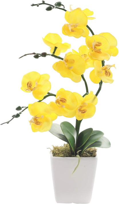 15" Silk Phalaenopsis Orchid in Square Pot, Yellow Flower Plant Arrangement | Lifelike Faux Potted Blooms with Moss in a Ceramic Planter. Looks Real, Zero Upkeep, Ideal Centerpiece for Any Table