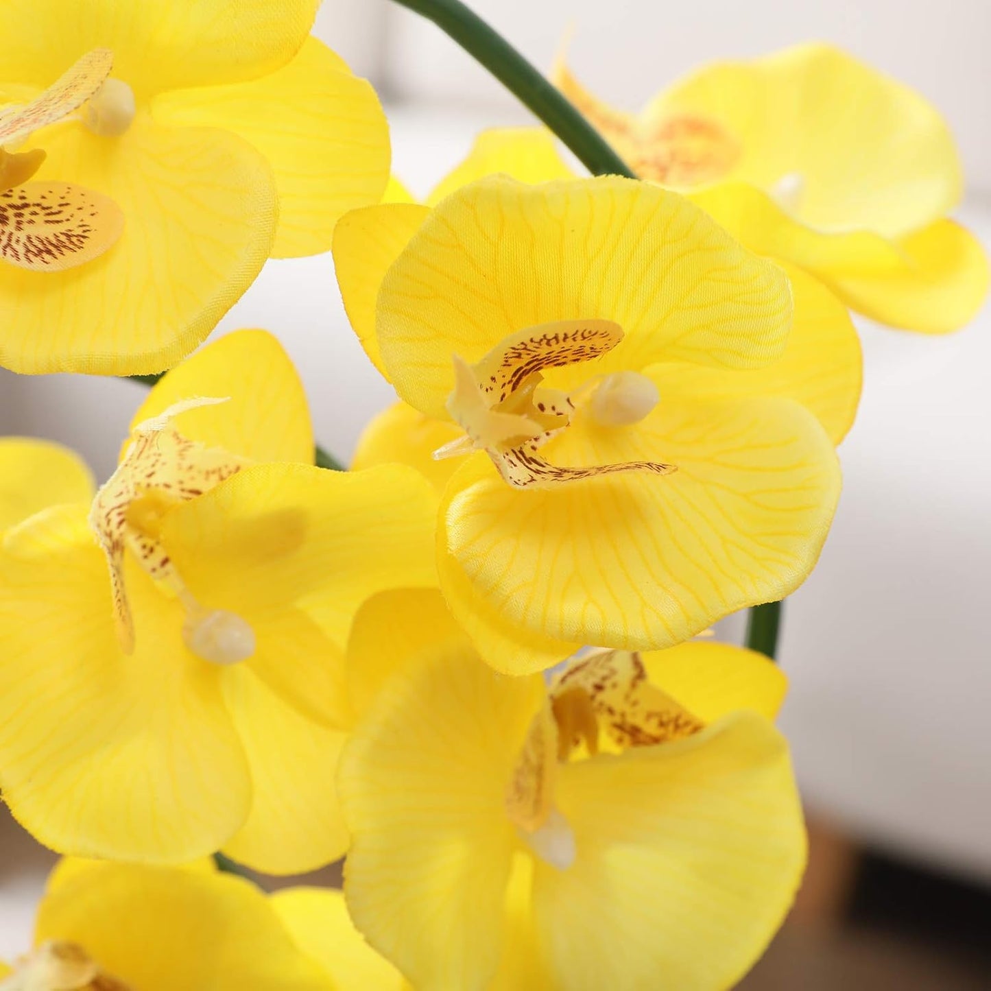 15" Silk Phalaenopsis Orchid in Square Pot, Yellow Flower Plant Arrangement | Lifelike Faux Potted Blooms with Moss in a Ceramic Planter. Looks Real, Zero Upkeep, Ideal Centerpiece for Any Table