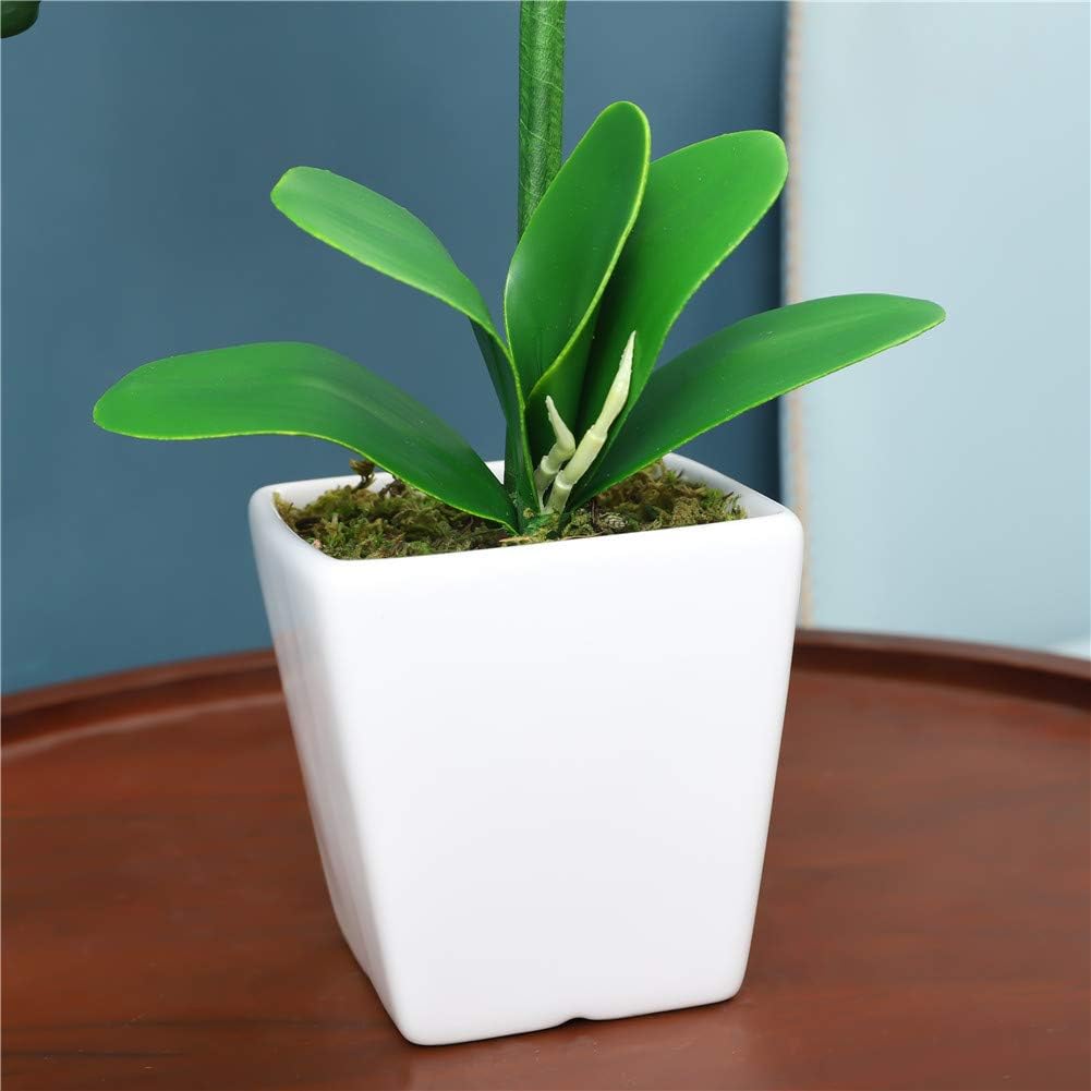 15" Silk Phalaenopsis Orchid in Square Pot, Yellow Flower Plant Arrangement | Lifelike Faux Potted Blooms with Moss in a Ceramic Planter. Looks Real, Zero Upkeep, Ideal Centerpiece for Any Table