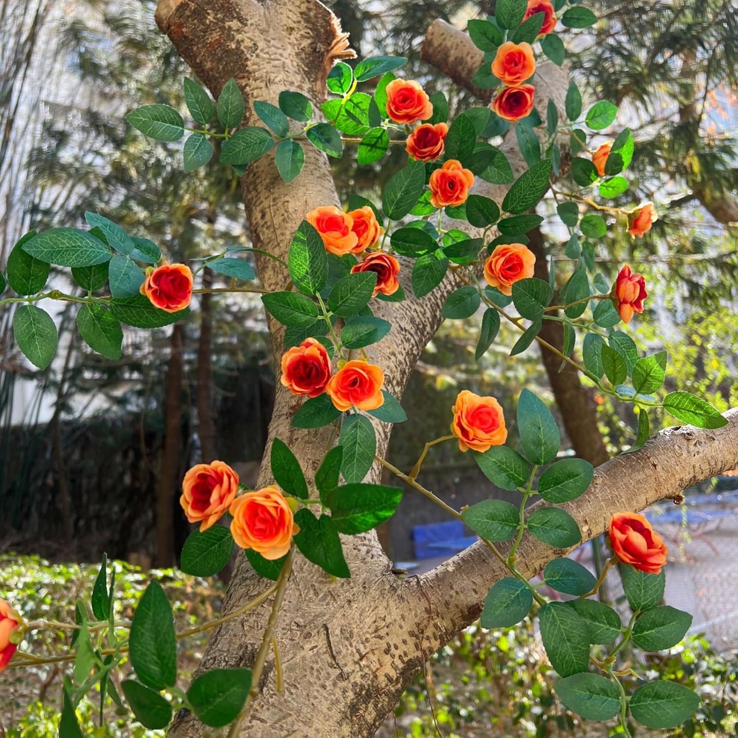 6FT Bendable Yellow Orange Rose Flower Garland, Artificial Silk Wild Roses Vine Leaves Hanging Flowers for Wall Fireplace Fence Trellis Wedding Home Spring Summer Decor(2PC)