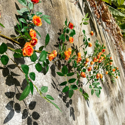 6FT Bendable Yellow Orange Rose Flower Garland, Artificial Silk Wild Roses Vine Leaves Hanging Flowers for Wall Fireplace Fence Trellis Wedding Home Spring Summer Decor(2PC)