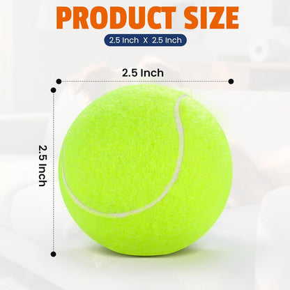 Tennis Balls for Dogs 16 Pack,2.5 inches,Durable and Non-Toxic Dog Toys Balls with Mesh Bag,Yellow Fetch Toys Balls for pet Dog (Non Squeaky)