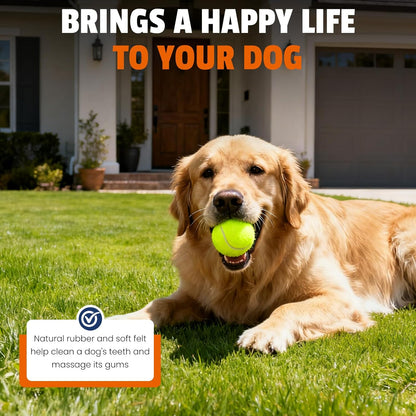 Tennis Balls for Dogs 16 Pack,2.5 inches,Durable and Non-Toxic Dog Toys Balls with Mesh Bag,Yellow Fetch Toys Balls for pet Dog (Non Squeaky)