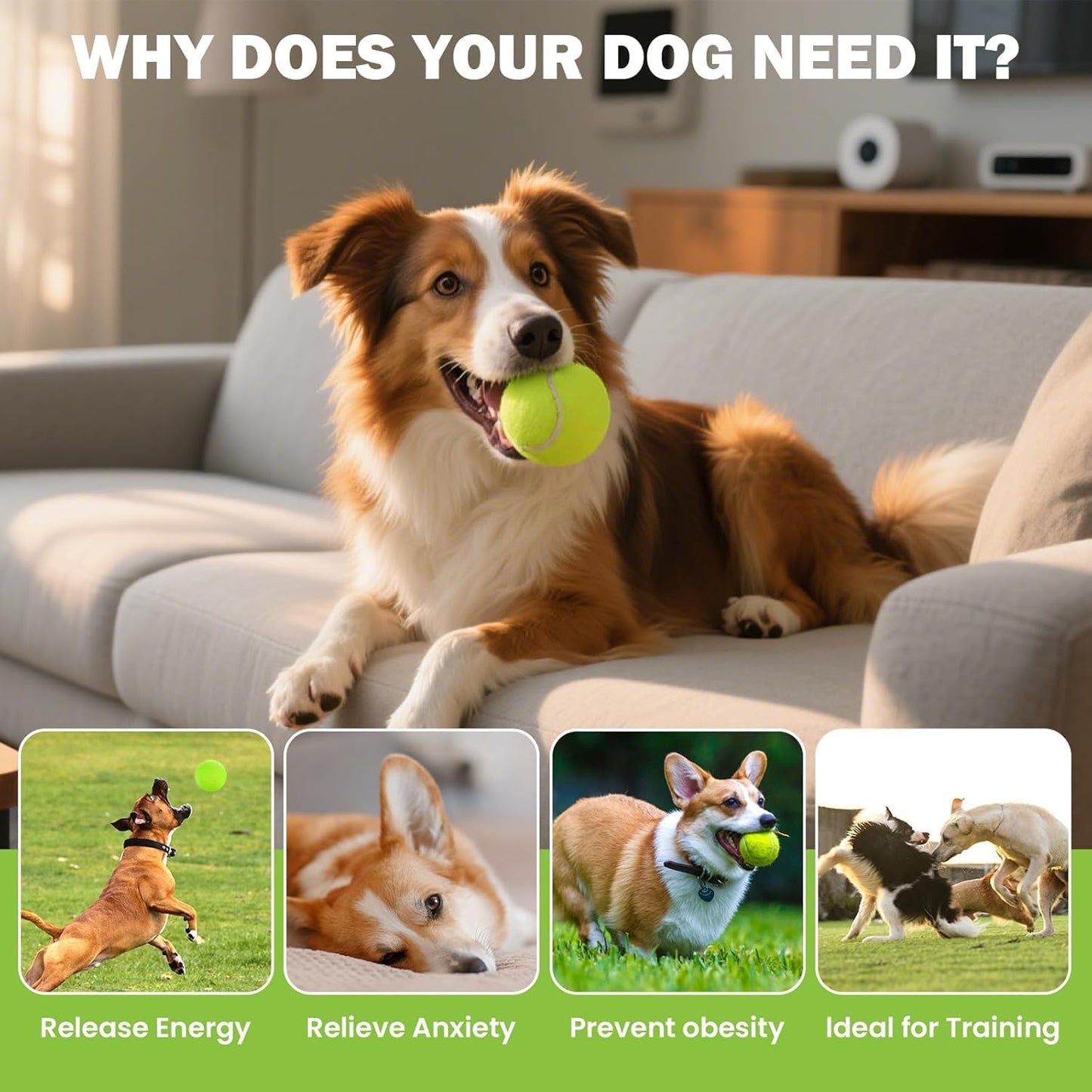 Tennis Balls for Dogs 16 Pack,2.5 inches,Durable and Non-Toxic Dog Toys Balls with Mesh Bag,Yellow Fetch Toys Balls for pet Dog (Non Squeaky)