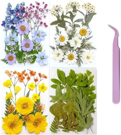 60PCS Mixed Natural Pressed Flowers Craft Kit with Tweezers for DIY Resin Coaster Bookmark Scrapbooking Wedding Vow Card Phone Case Home Decoration (White, Lavander, Yellow, Green)
