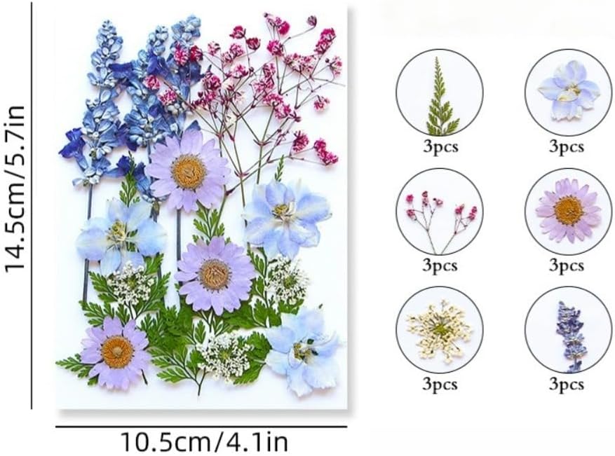 60PCS Mixed Natural Pressed Flowers Craft Kit with Tweezers for DIY Resin Coaster Bookmark Scrapbooking Wedding Vow Card Phone Case Home Decoration (White, Lavander, Yellow, Green)