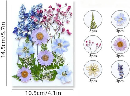 60PCS Mixed Natural Pressed Flowers Craft Kit with Tweezers for DIY Resin Coaster Bookmark Scrapbooking Wedding Vow Card Phone Case Home Decoration (White, Lavander, Yellow, Green)