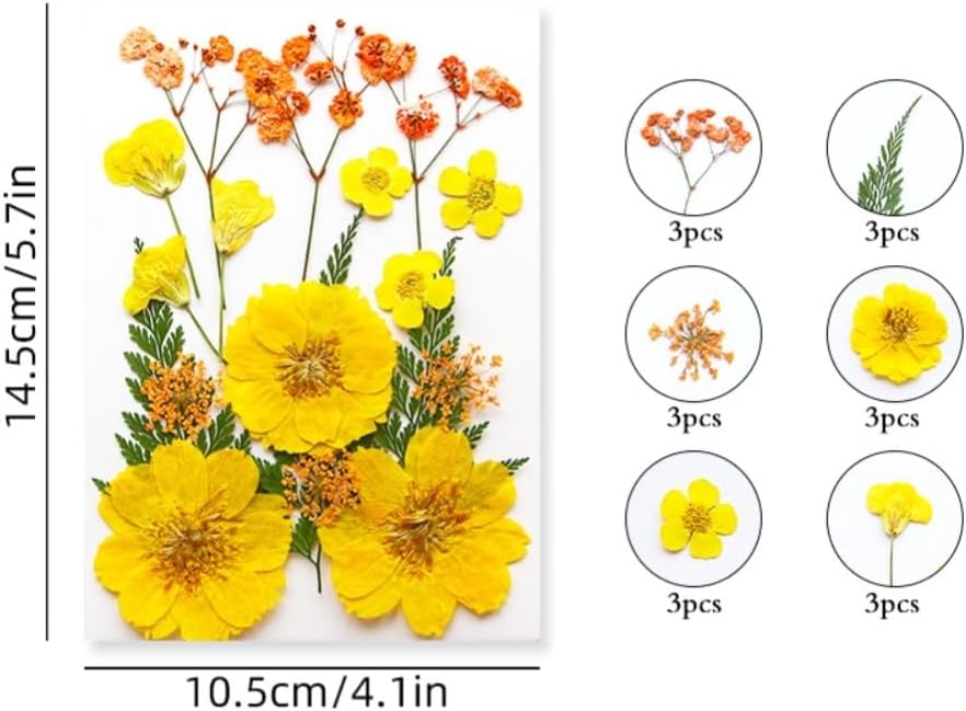 60PCS Mixed Natural Pressed Flowers Craft Kit with Tweezers for DIY Resin Coaster Bookmark Scrapbooking Wedding Vow Card Phone Case Home Decoration (White, Lavander, Yellow, Green)