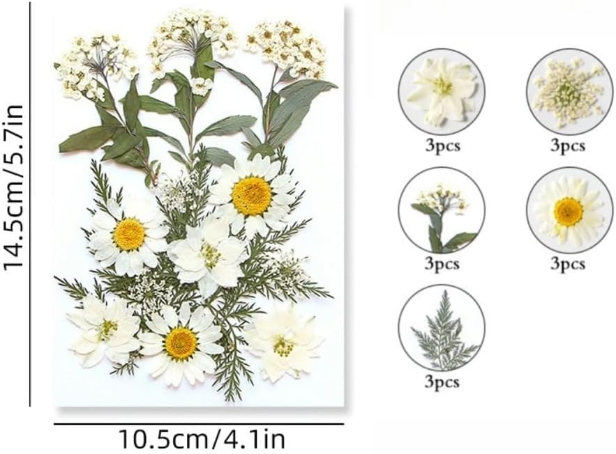 60PCS Mixed Natural Pressed Flowers Craft Kit with Tweezers for DIY Resin Coaster Bookmark Scrapbooking Wedding Vow Card Phone Case Home Decoration (White, Lavander, Yellow, Green)