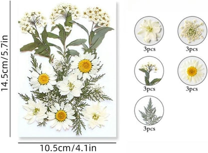 60PCS Mixed Natural Pressed Flowers Craft Kit with Tweezers for DIY Resin Coaster Bookmark Scrapbooking Wedding Vow Card Phone Case Home Decoration (White, Lavander, Yellow, Green)