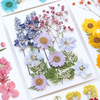 60PCS Mixed Natural Pressed Flowers Craft Kit with Tweezers for DIY Resin Coaster Bookmark Scrapbooking Wedding Vow Card Phone Case Home Decoration (White, Lavander, Yellow, Green)