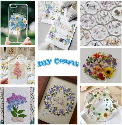 60PCS Mixed Natural Pressed Flowers Craft Kit with Tweezers for DIY Resin Coaster Bookmark Scrapbooking Wedding Vow Card Phone Case Home Decoration (White, Lavander, Yellow, Green)