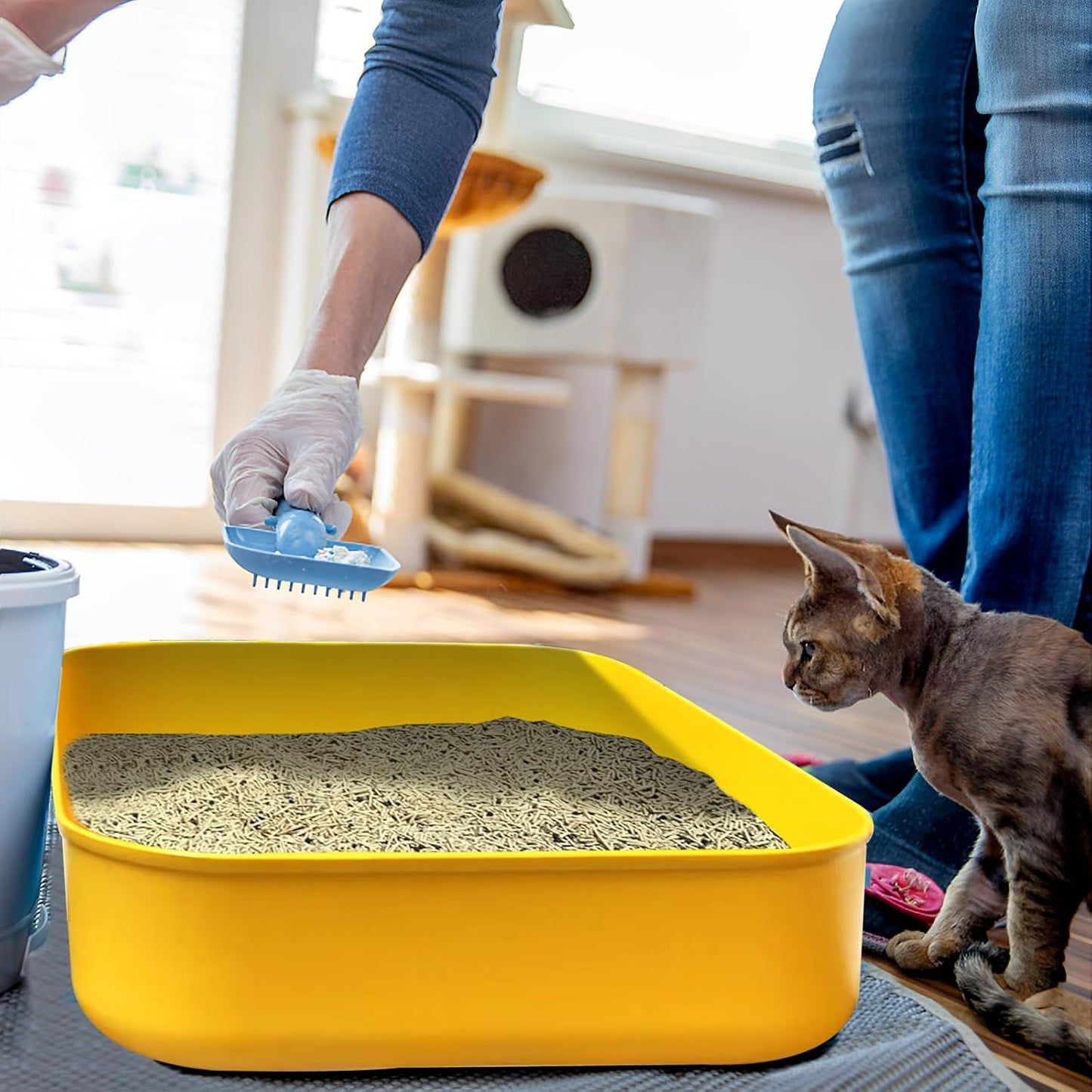 Small Litter Box, Plastic Kitten Litter Box, 13.9 x 9.8 x 3 Inch Open Litter Box for Small Pet, Easy to Clean (Yellow 4PCS)