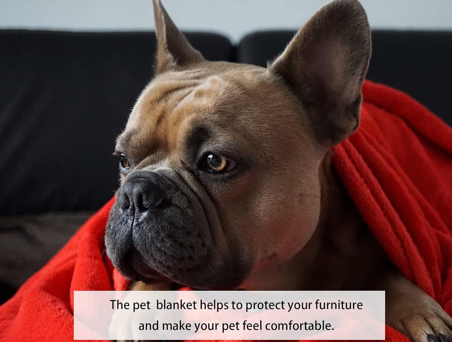 Soft Puppy Flannel Fleece Blanket for Pet Dog Cat, Plush Microfiber, Cozy and Lightweight, Light Yellow, Pet, 19 x 27 inch (50 x 70 cm)