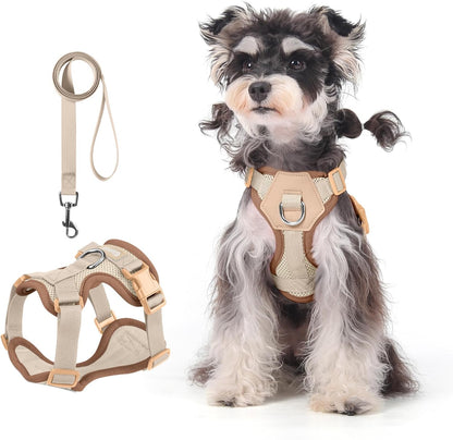 Small Dog Harness and Leash Set, Breathable Mesh Puppy Harness, Adjustable Dog Harness for Small Medium Large Dogs, No-Pull Pet Harness for Daily Walking (Faint Yellow, Small)