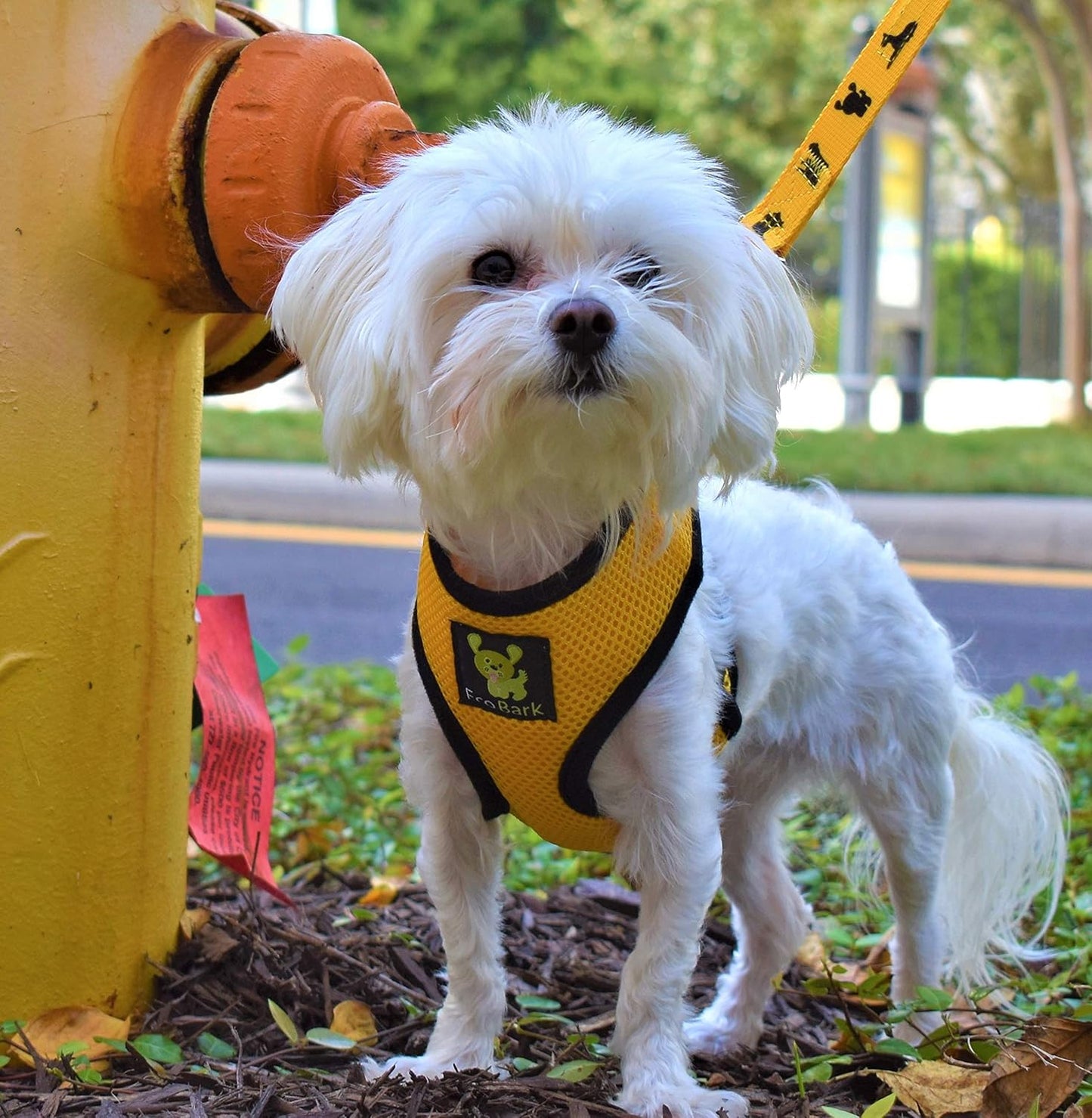 Reflective Dog Leash, Comfort Walking Leash, Yellow, Durable | Eco Friendly Recycled Water Bottle Dog Leash with Padded Handle, Soft & Strong Dog Leashes for Small, Medium or Large Dogs