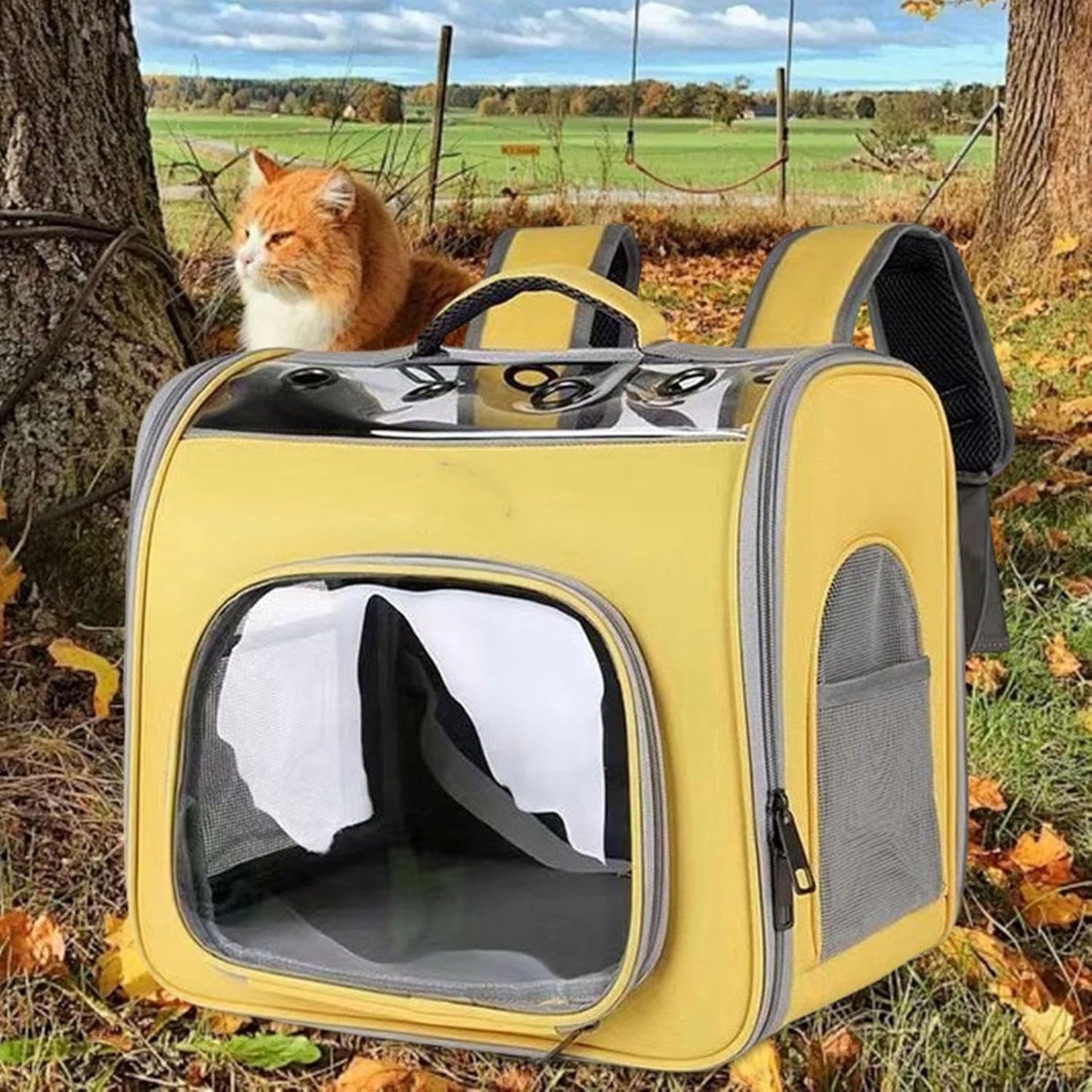 Pet Travel Backpack Pet Carrying Bag Lightweight Convenient Small Dog Carrier Cat Travel Bag for Hiking Camping Outdoor, Yellow