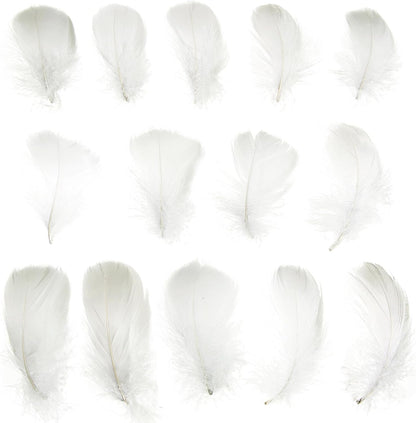 Lamar 300 Pcs Yellow Craft Feathers 2-3 in | Bulk feathers for dream catchers, art projects, DIY crafts, handi crafts, and party decor