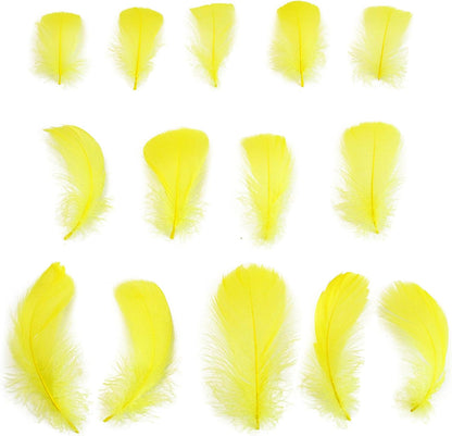Lamar 300 Pcs Yellow Craft Feathers 2-3 in | Bulk feathers for dream catchers, art projects, DIY crafts, handi crafts, and party decor