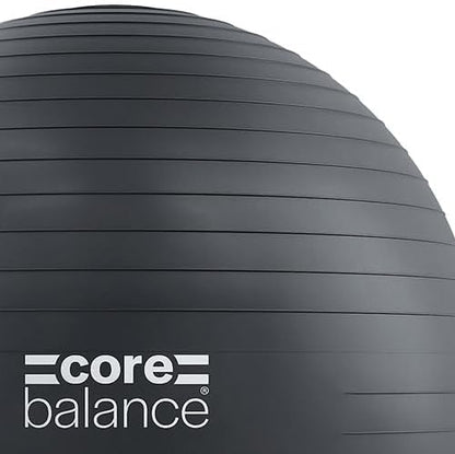 Exercise Ball, Stability Ball for Yoga, Pilates and Fitness, Gym Ball for Home Gym and Office Chair, Training, Physical Therapy, Anti Burst, Pump Included, 55cm 65cm 75cm 85cm