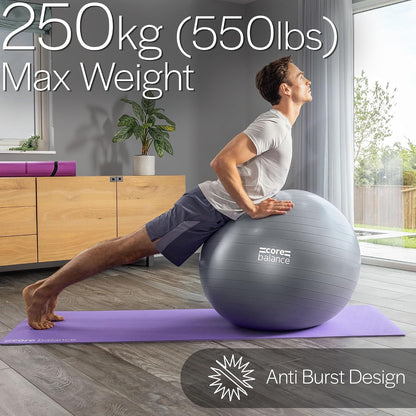Exercise Ball, Stability Ball for Yoga, Pilates and Fitness, Gym Ball for Home Gym and Office Chair, Training, Physical Therapy, Anti Burst, Pump Included, 55cm 65cm 75cm 85cm