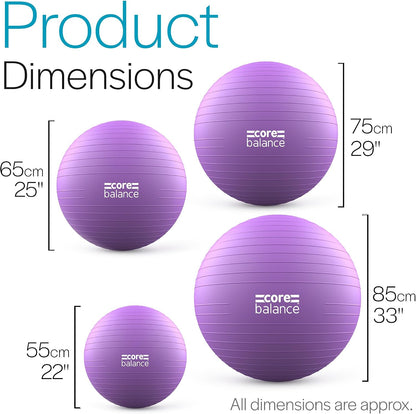 Exercise Ball, Stability Ball for Yoga, Pilates and Fitness, Gym Ball for Home Gym and Office Chair, Training, Physical Therapy, Anti Burst, Pump Included, 55cm 65cm 75cm 85cm