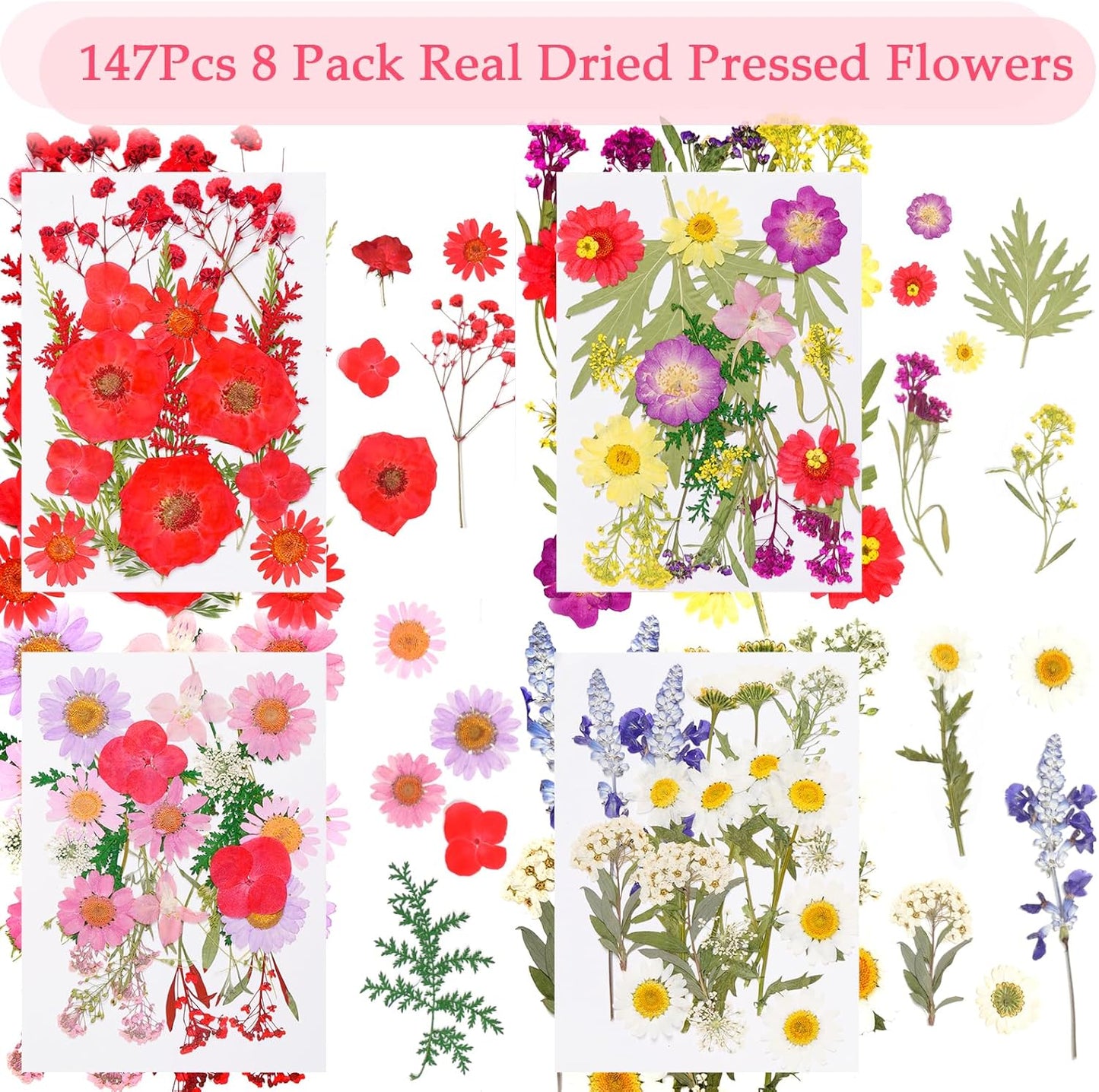 228Pcs Pressed Dried Flowers with Butterfly Stickers for Crafts, Natural Real Dried Pressed Flowers for DIY Art Butterfly Stickers Tweezers for Candle Soap Making, Scrapbook