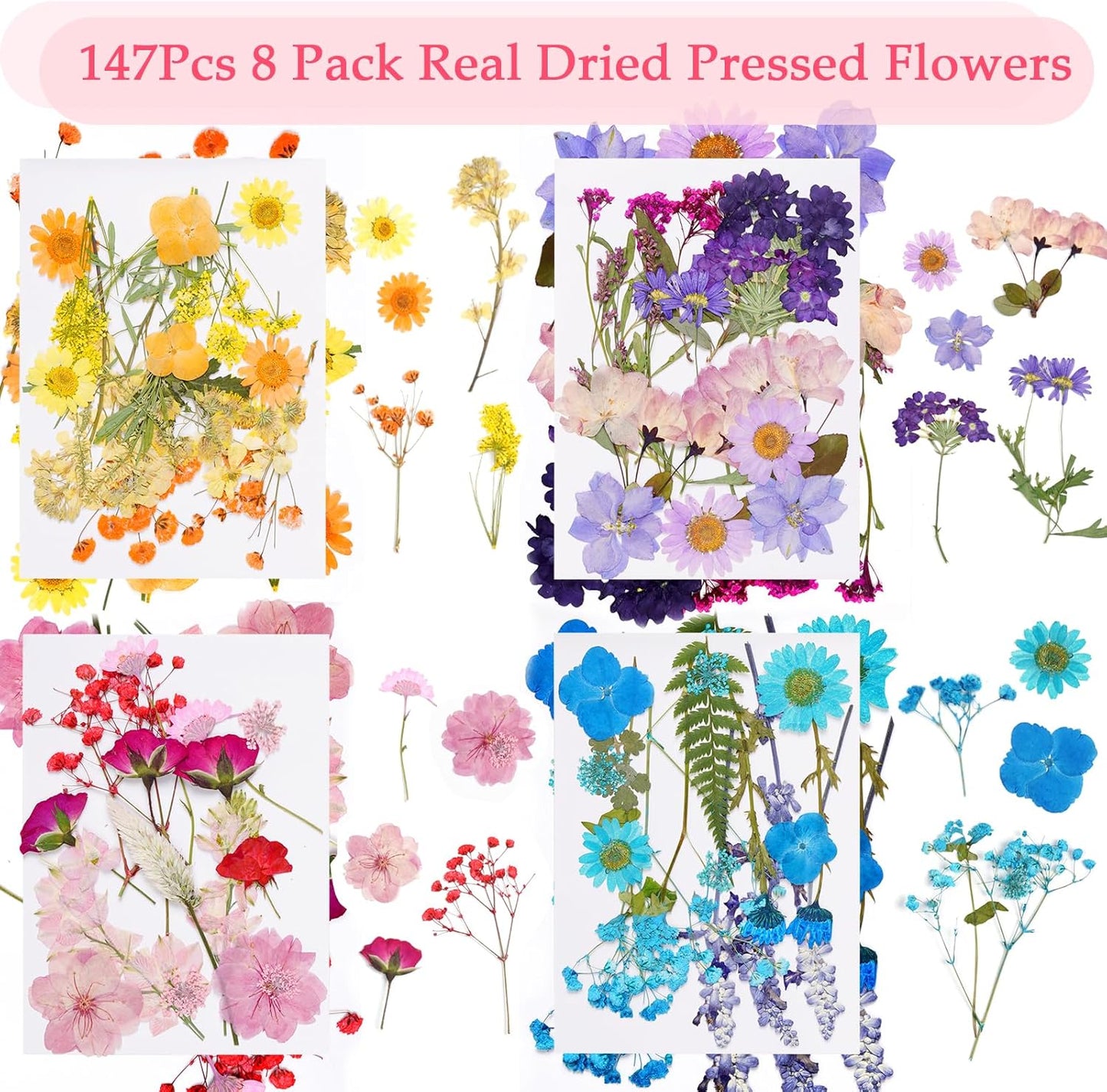 228Pcs Pressed Dried Flowers with Butterfly Stickers for Crafts, Natural Real Dried Pressed Flowers for DIY Art Butterfly Stickers Tweezers for Candle Soap Making, Scrapbook