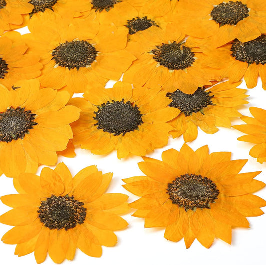 24 Pcs Dried Pressed Flowers for Resin Real Natural Sunflower Petals for Jewelry Candle Soap Making DIY Art Craft Scrapbooking Supplies(Yellow)