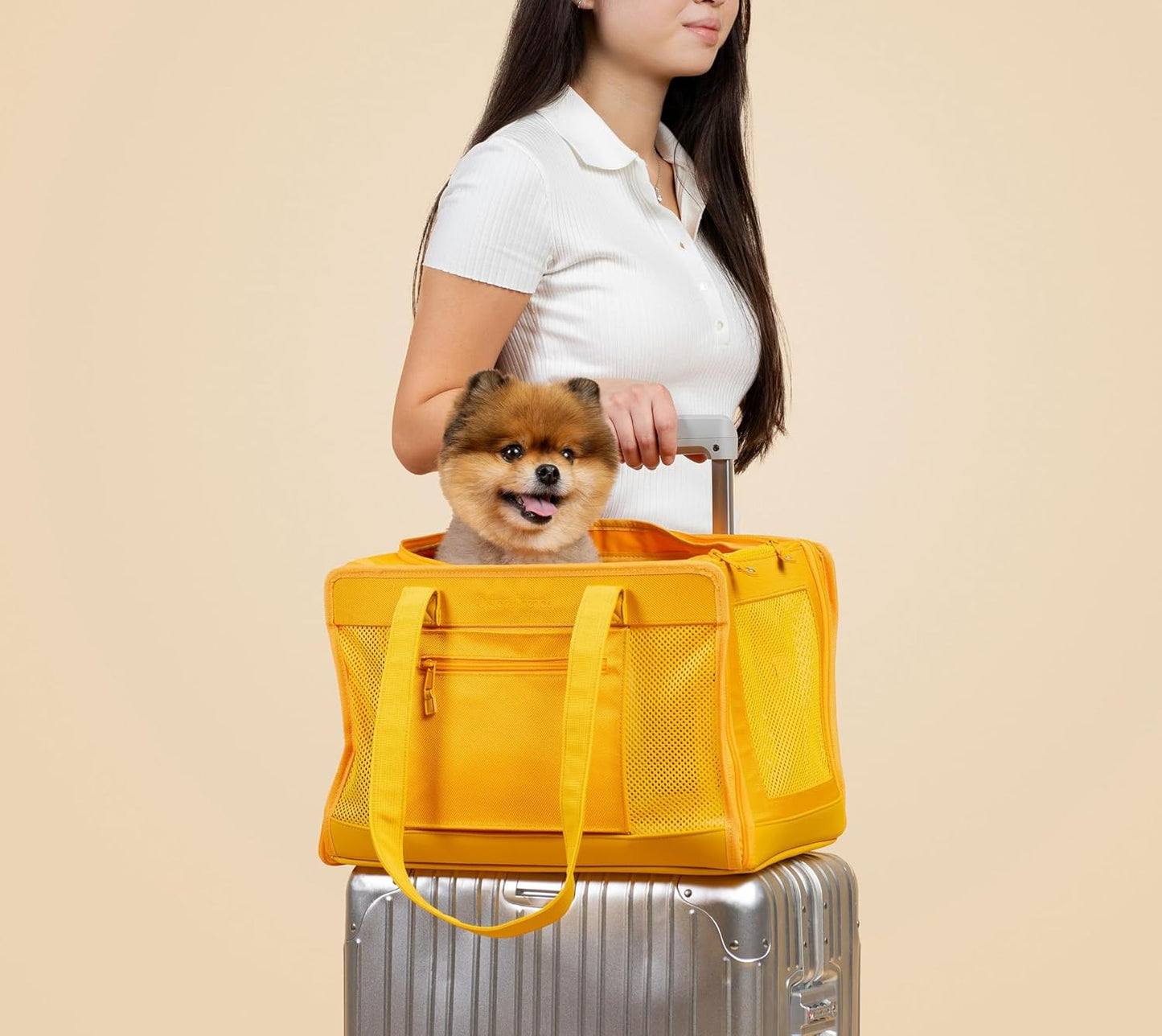 Airline-Approved Pet Carrier for Small Dogs & Cats (Up to 20 lbs) – Soft-Sided Travel Carrier with Luggage Strap, Cozy Sherpa Pad, Mesh Panels & Safety Tether