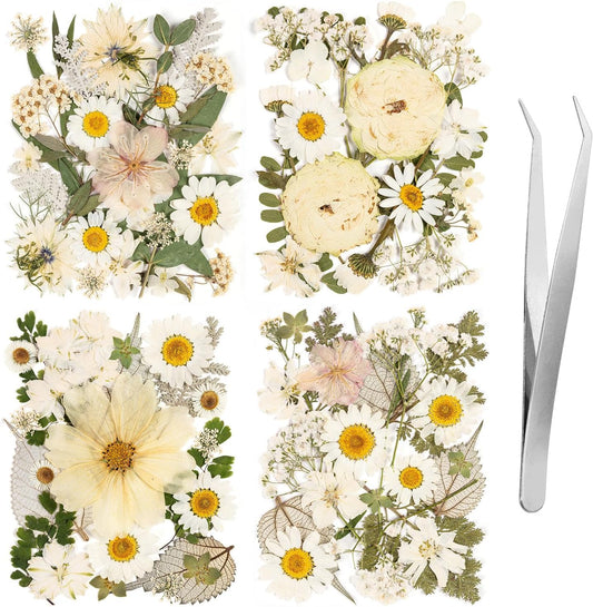 100pcs White and Light Yellow Dried Pressed Flowers Bulk, Natural Fall Pressed Dried Flowers with Tweezer for DIY Crafts Resin Mold Candles Cake Bridal Scrapbooking Supplies