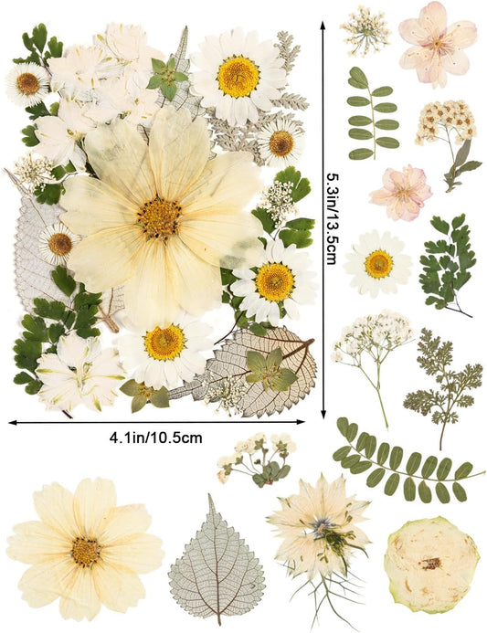 100pcs White and Light Yellow Dried Pressed Flowers Bulk, Natural Fall Pressed Dried Flowers with Tweezer for DIY Crafts Resin Mold Candles Cake Bridal Scrapbooking Supplies