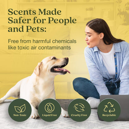 Non-Toxic* Air Freshener Plug-In Plug Hub® Kit for Home, 1 Pack | Non-Toxic* Air Freshener w/ Lemon Leaf & Thyme Scent | Fits Standard Outlets for Daily Use | Pet-Friendly w/ Paper Refill