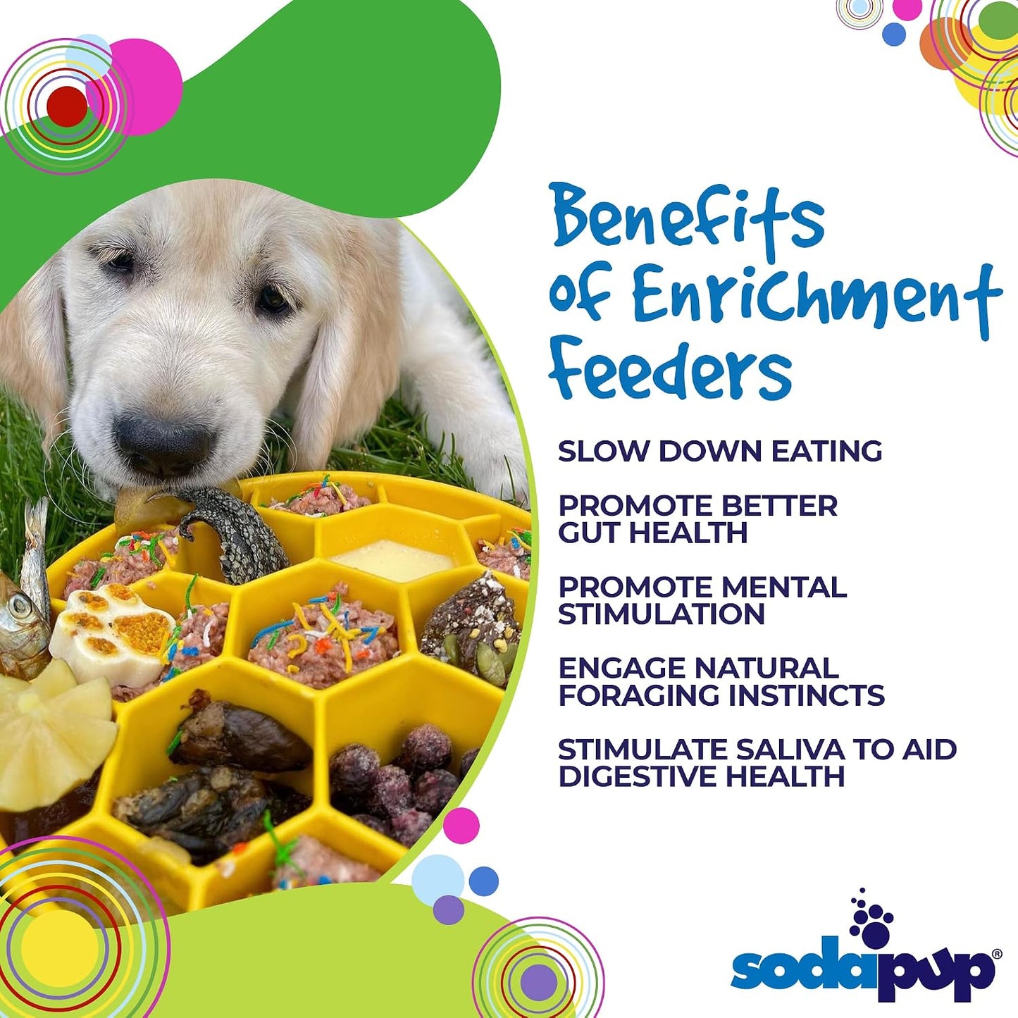 Honeycomb Enrichment Bowl – Durable Slow Feeder Bowl Made in USA from Non-Toxic, Pet-Safe, Food Safe Material for Mental Stimulation, Slowing Down Eating, Healthy Digestion, & More