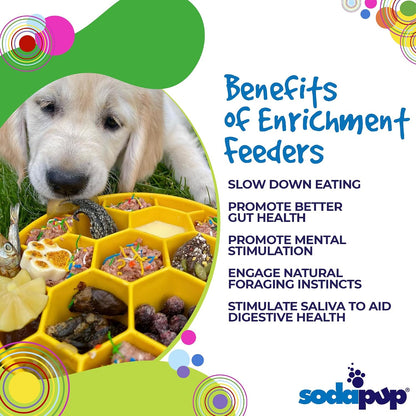 Honeycomb Enrichment Bowl – Durable Slow Feeder Bowl Made in USA from Non-Toxic, Pet-Safe, Food Safe Material for Mental Stimulation, Slowing Down Eating, Healthy Digestion, & More