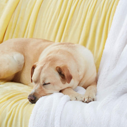 Sherpa Throw Blanket Super Soft Reversible Ultra Luxurious Plush Blanket, 40 x 50 inches, Yellow/White