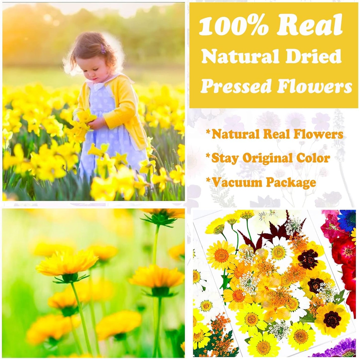 93 Pcs Yellow Dried Pressed Flowers Real Natural Leave Petals for DIY Resin Candle Jewelry Nail Crafts