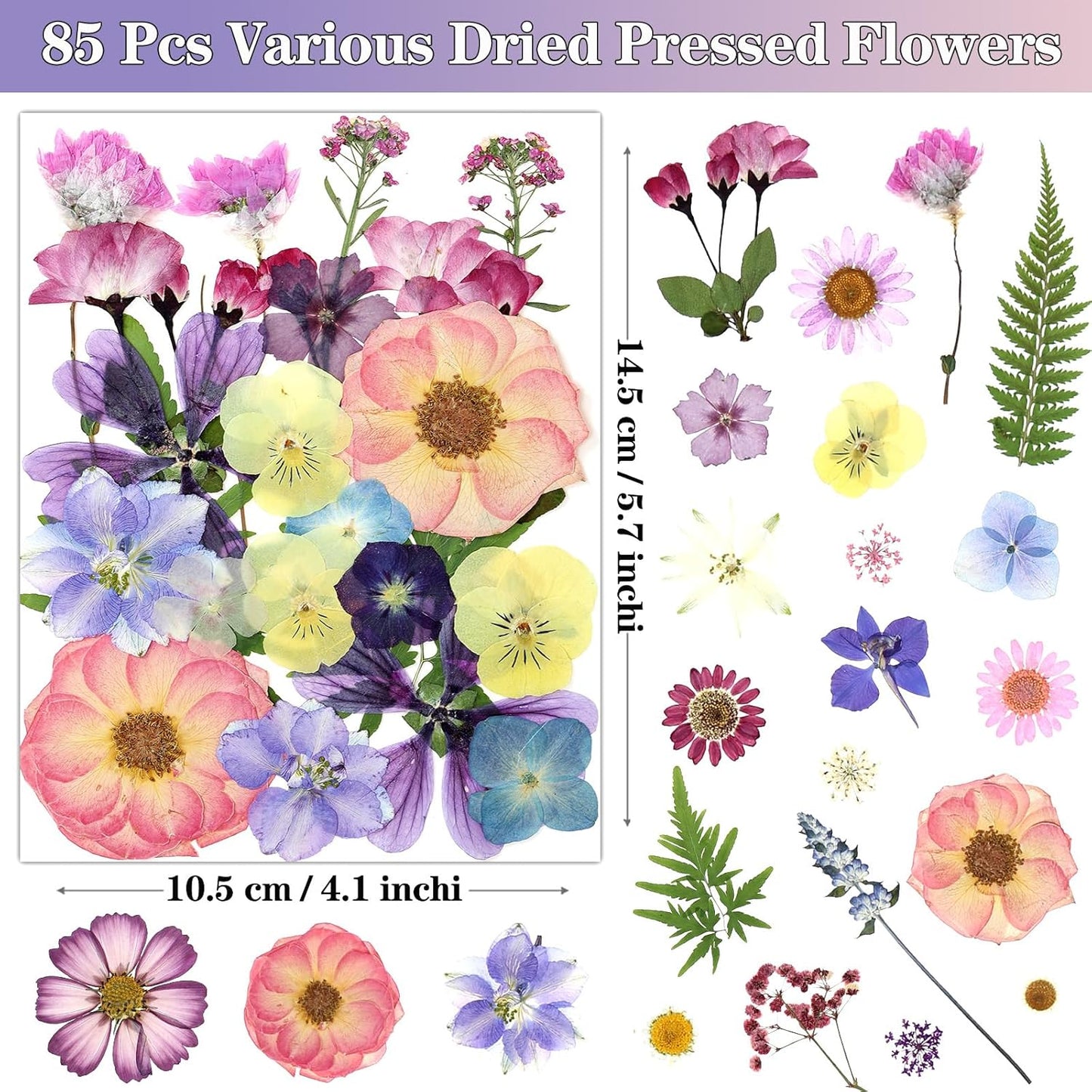 85Pcs Pressed Flowers for Crafts, Pink Purple Dried Flowers for Crafts Real Natural Dried Pressed Flowers Dry Leaves Bulk for Resin, DIY Art, Scrapbook, Jewelry, Card, Candle & Soap Making w/ Tweezer