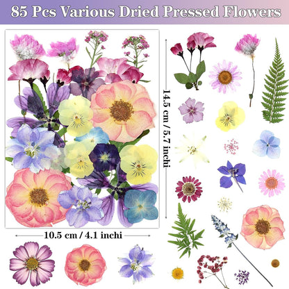 85Pcs Pressed Flowers for Crafts, Pink Purple Dried Flowers for Crafts Real Natural Dried Pressed Flowers Dry Leaves Bulk for Resin, DIY Art, Scrapbook, Jewelry, Card, Candle & Soap Making w/ Tweezer