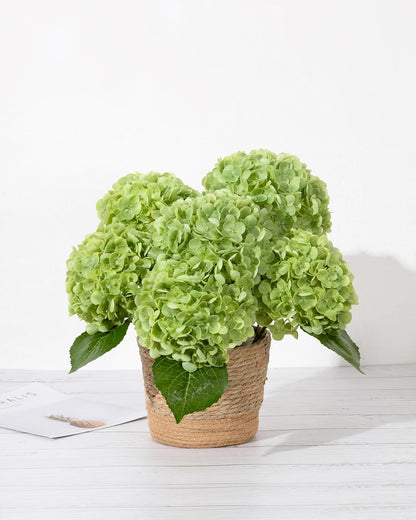 Hydrangea Artificial Flowers, Yellow, 3Pcs | Latex Real Touch Hydrangeas with Long Stems & Leaves for Home Decor Party Floral Arrangements Wedding Bouquets Centerpieces