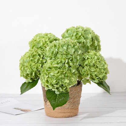 Hydrangea Artificial Flowers, Yellow, 3Pcs | Latex Real Touch Hydrangeas with Long Stems & Leaves for Home Decor Party Floral Arrangements Wedding Bouquets Centerpieces