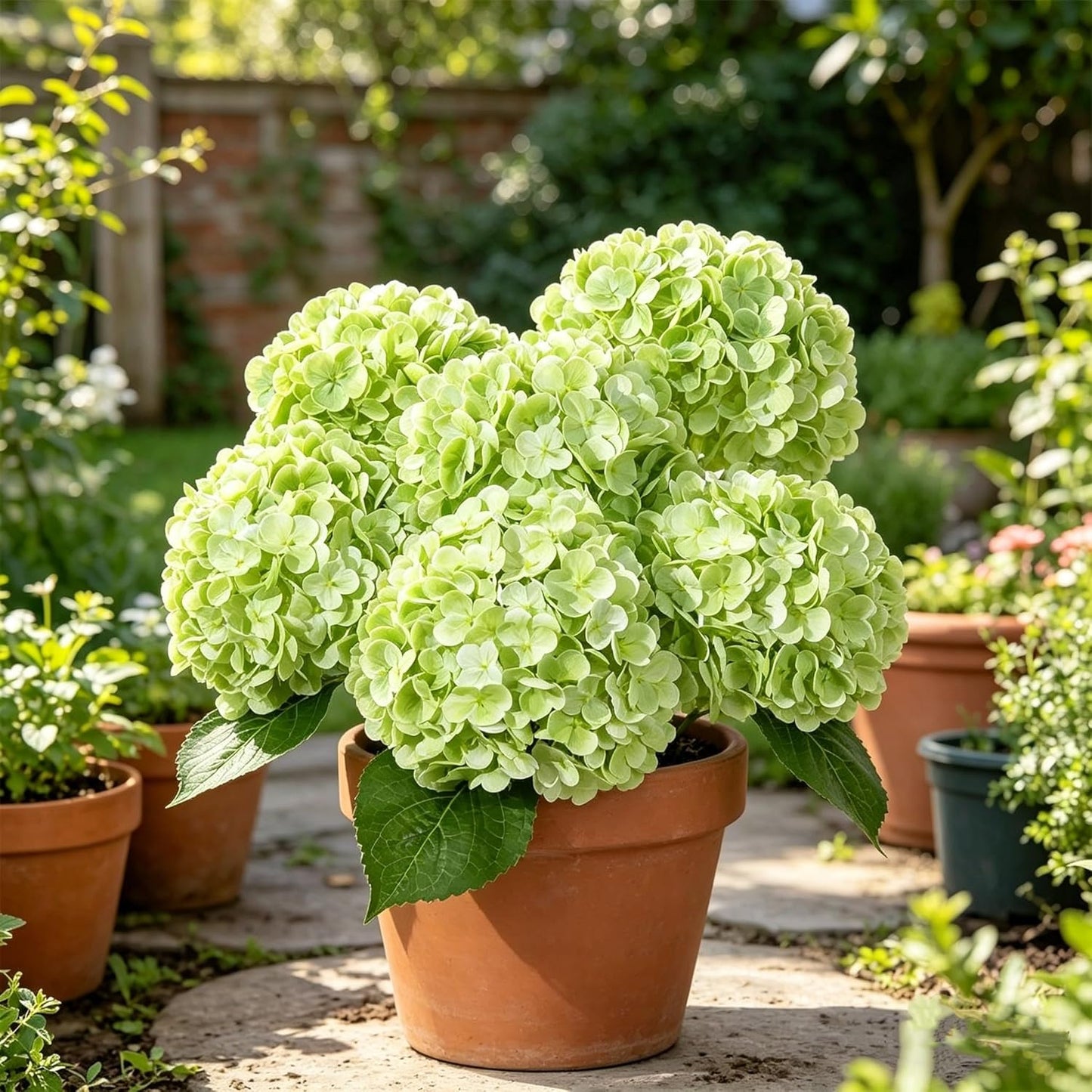 Hydrangea Artificial Flowers, Yellow, 3Pcs | Latex Real Touch Hydrangeas with Long Stems & Leaves for Home Decor Party Floral Arrangements Wedding Bouquets Centerpieces