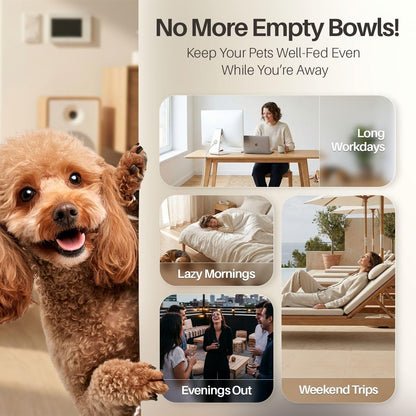Gravity Pet Water Dispenser Drinking Station for Dogs Cats (3 Gallon) Automatic Replenish Waterer for Small Large Breed Dog Cat,Feeding Watering Fountain Supplies Bottle Dish Bowl