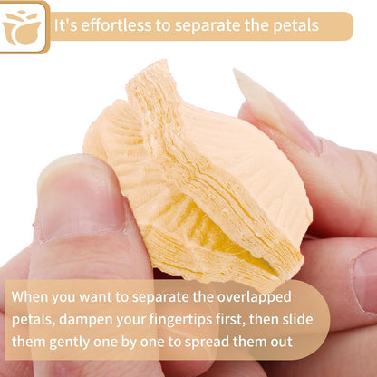 1000 PCS Artificial Fake Rose Petals(Yellow) | Flower Decorations,Silk Rose Petals,Romantic Night for Her/Him Set,Suitable for Wedding, Engagement, Party