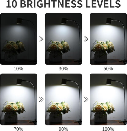 Desk Lamp,USB Clip On Light with 3 Color Modes,LED 10 Levels Brightness Reading Lamp, 360° Gooseneck Book Light,Eye-Care Reading Light for Home Office,Headboards Gold, DA-3.5W-01