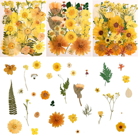 100 PCS Yellow Pressed Dried Flowers and Leaves with Tweezers | Natural, For Resin, For Candle, For Jewelry, For Scrapbooking & DIY Crafts